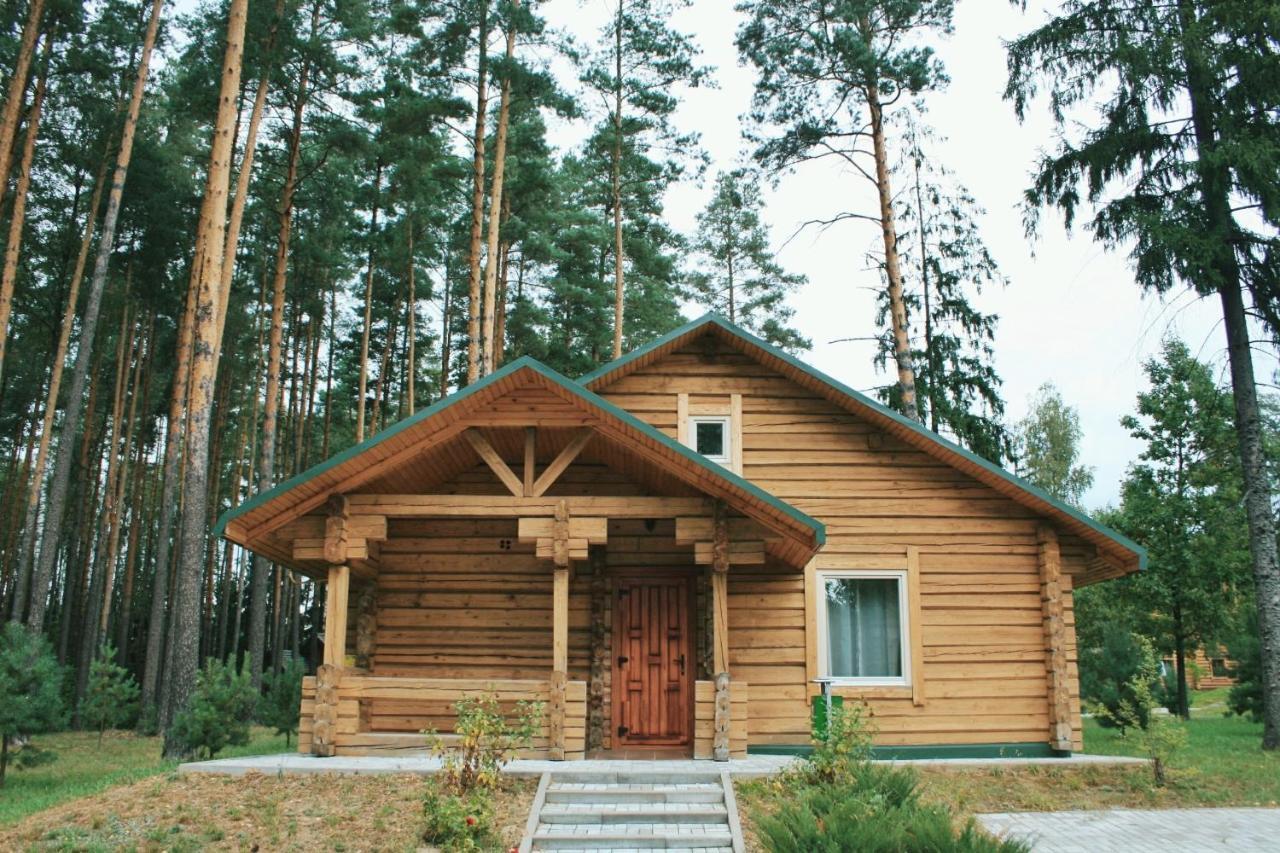 Green Park Hotel Airport Minsk Silichy Exterior foto
